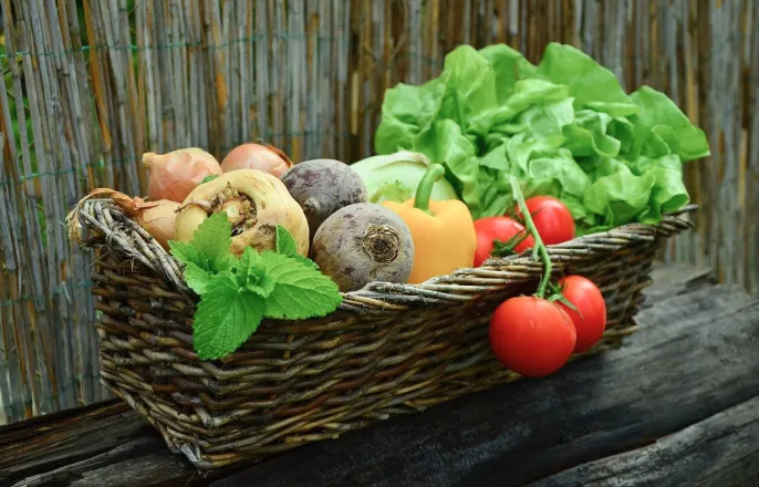 写真:カゴにたくさんの野菜が入っています